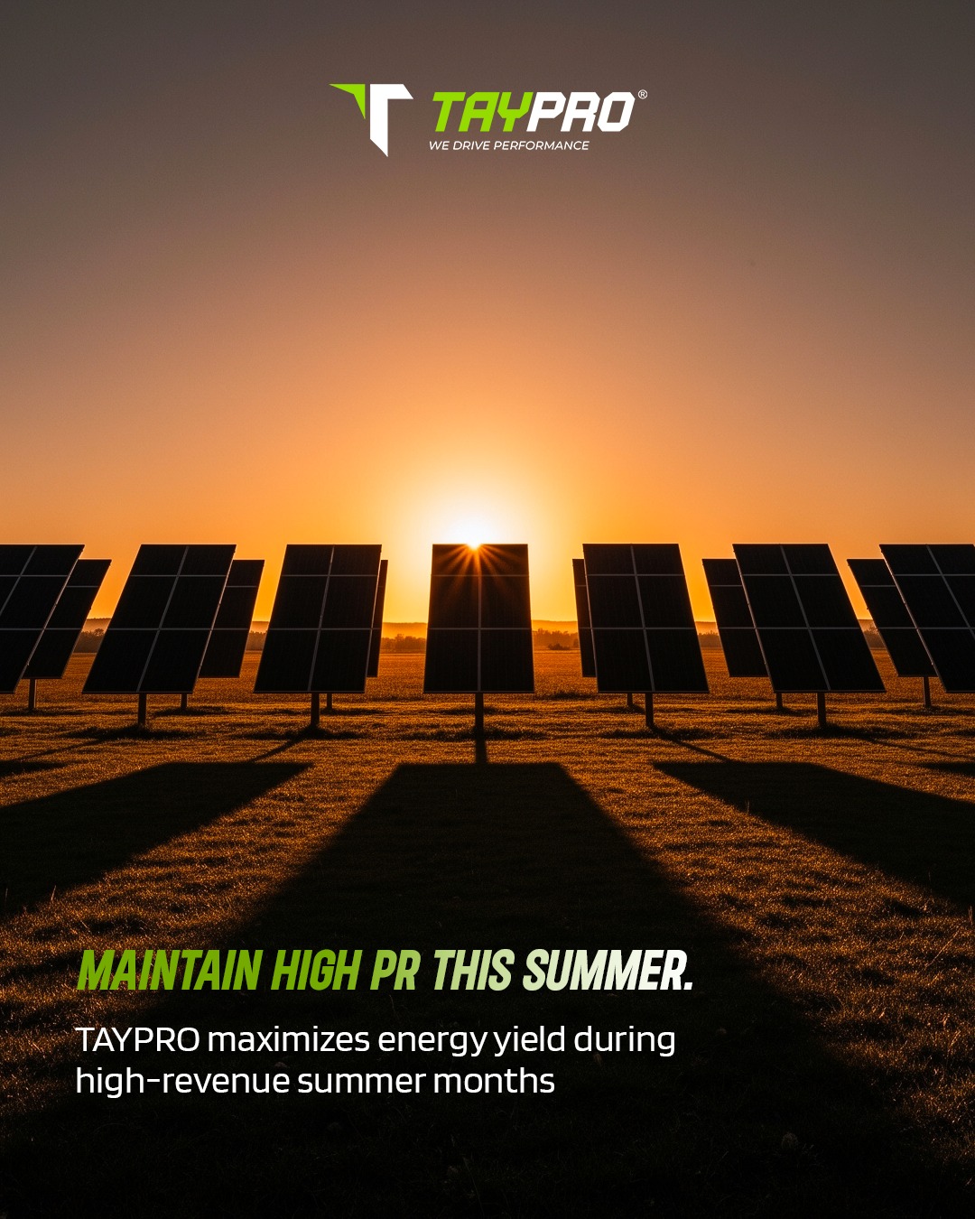 WhatsApp Image 2026-03-29 at 11.16.58 PM